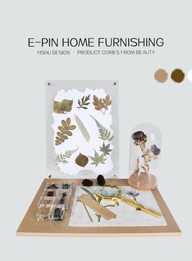 E-Pin 逸品样板房设计师搭配设计软装装饰摆件书房书桌昆虫花标本