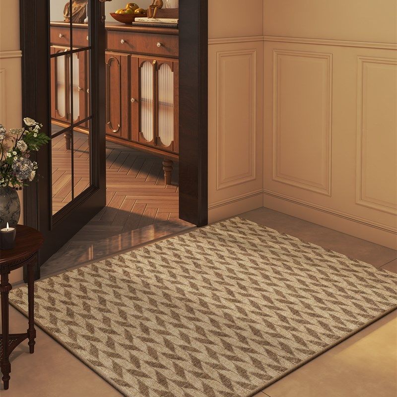 地板垫进入门垫2025新的特殊门进入垫耐污地毯室内家庭不粘门,居家布艺,入户地垫,淘宝优惠券,粉丝福利购,淘宝优惠卷