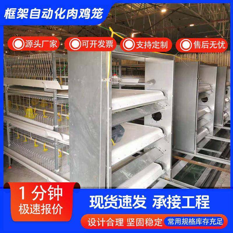 框架自动化肉鸡笼多层阶梯式蛋鸡笼加粗养殖笼热镀锌鸡笼养殖设备,畜牧/养殖物资,特种养殖设备,淘宝优惠券,粉丝福利购,淘宝优惠卷