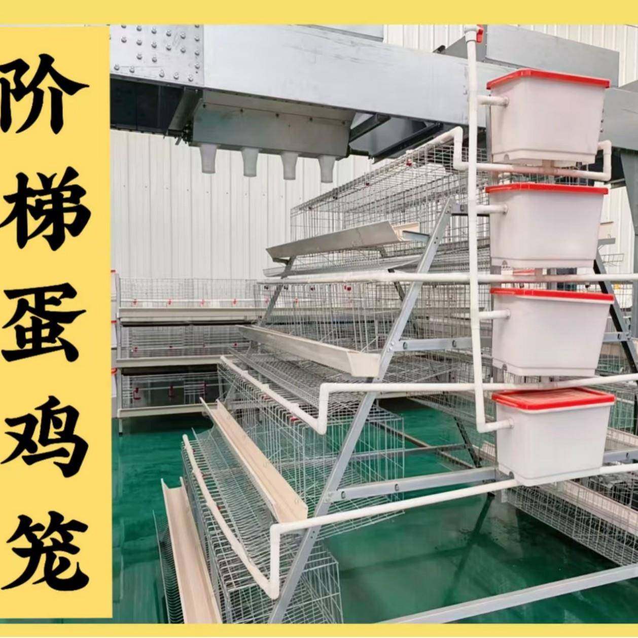 热镀锌阶梯蛋鸡笼防腐蚀耐用10年五门设计采食均匀中小养殖,畜牧/养殖物资,特种养殖设备,淘宝优惠券,粉丝福利购,淘宝优惠卷