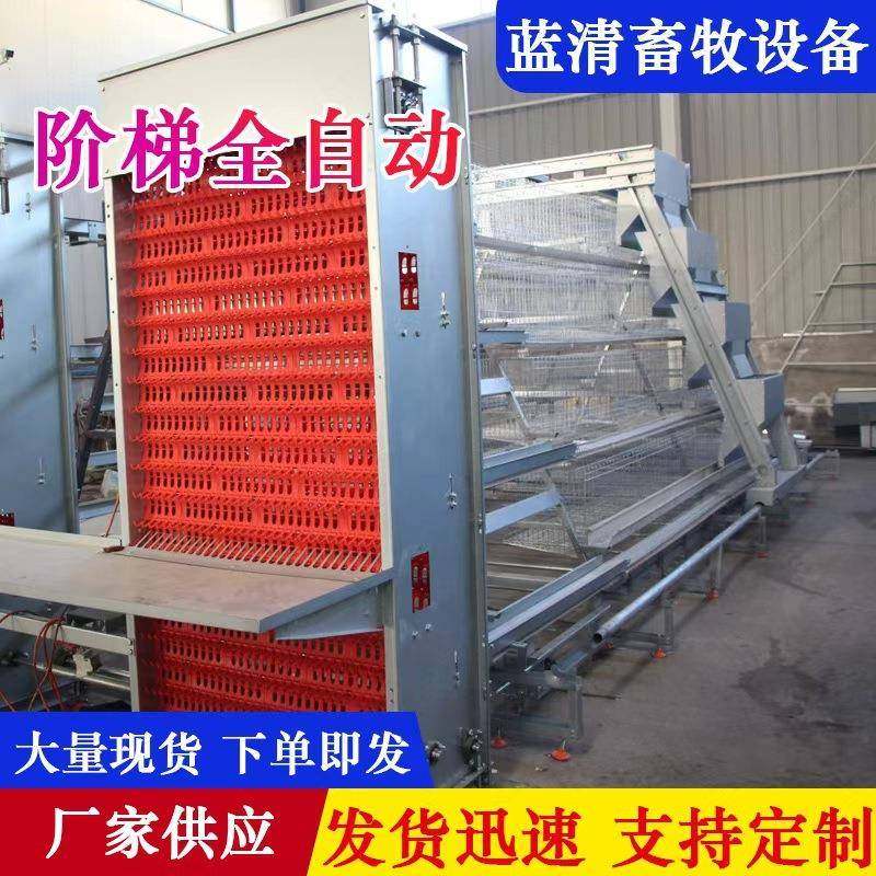 阶梯自动蛋鸡笼养殖场养殖笼具自动清粪背负式喂料机自动捡蛋机,畜牧/养殖物资,特种养殖设备,淘宝优惠券,粉丝福利购,淘宝优惠卷