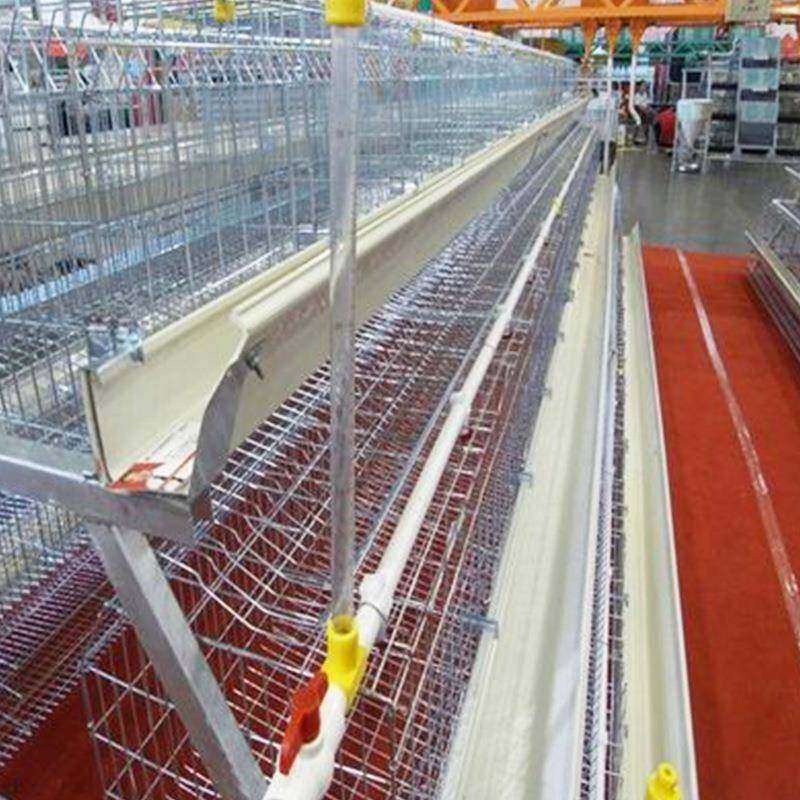 自动化阶梯式养鸡蛋鸡设备多层A型养殖笼全新笼具宏伟机械鸡笼,畜牧/养殖物资,特种养殖设备,淘宝优惠券,粉丝福利购,淘宝优惠卷