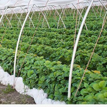 整卷塑料膜大棚膜小拱棚支架菜棚花棚保温育苗棚防晒网支架二棚支