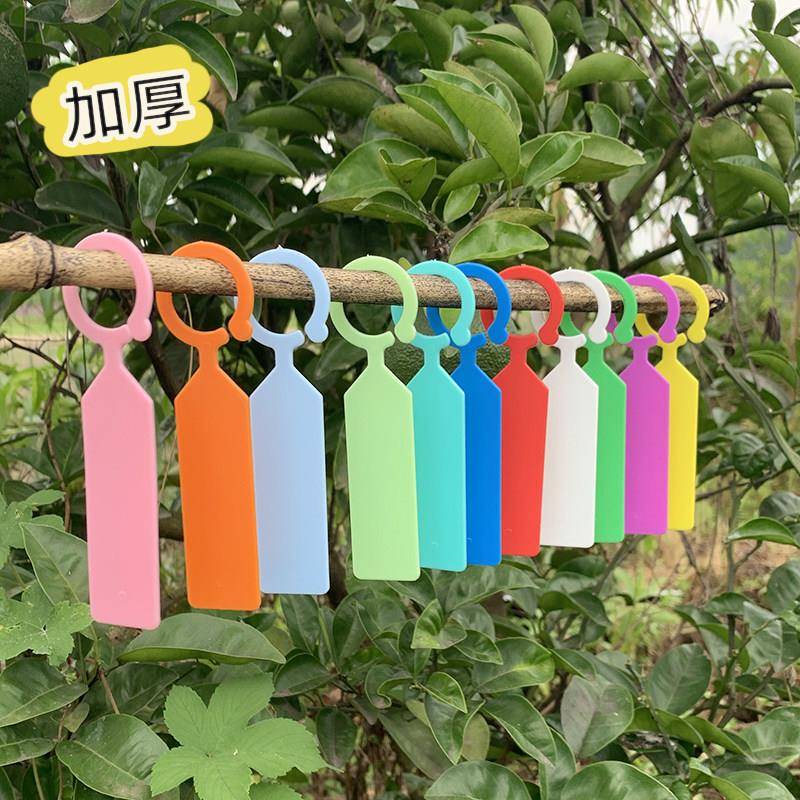 【大量用】塑料植物园艺标签记号牌环扣标记牌加厚绿植果树吊牌
