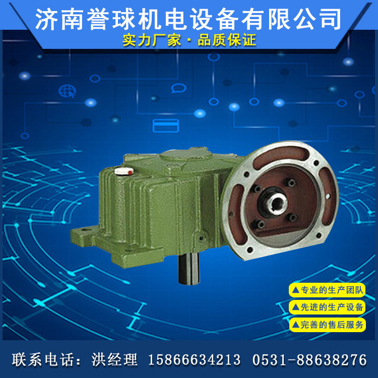 WPDX单级减速机立式涡轮蜗杆小型变速箱国标94铜40-250型