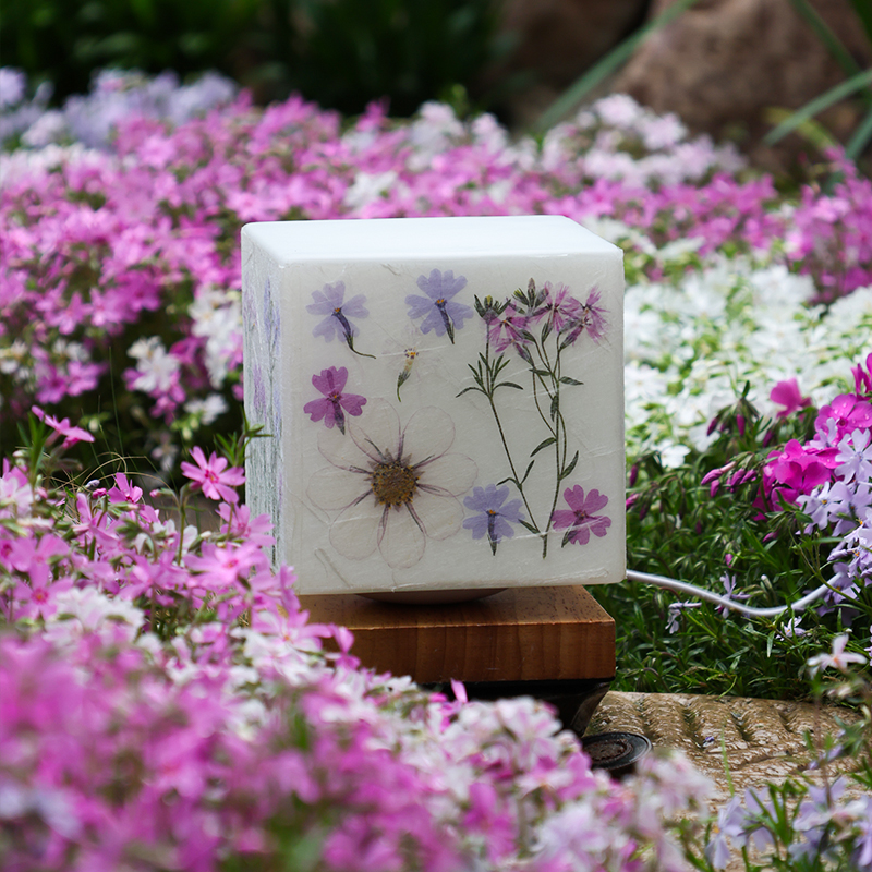 锅锅的鱼新款手工植物干花押花台灯材料包压花台灯小夜灯自制