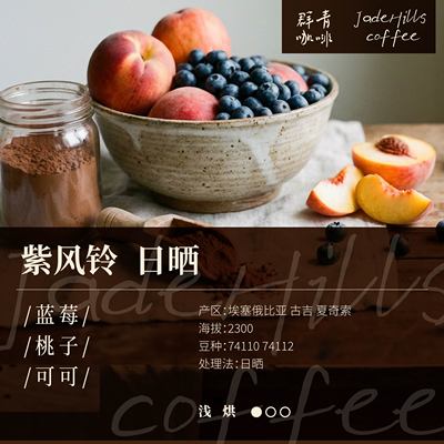 紫风铃74110/74112精品手冲豆