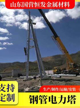 10VISY架构2架构避1雷针构架避雷针变电站升压构支k架20kV架构