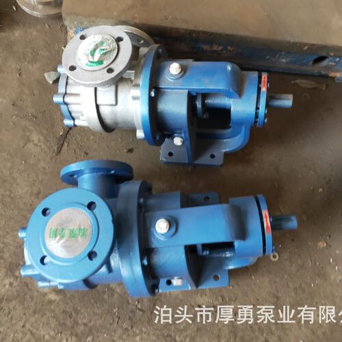 泊头厚勇 不锈钢NYP高粘度泵 内环式高粘度泵 浓浆输送齿轮泵