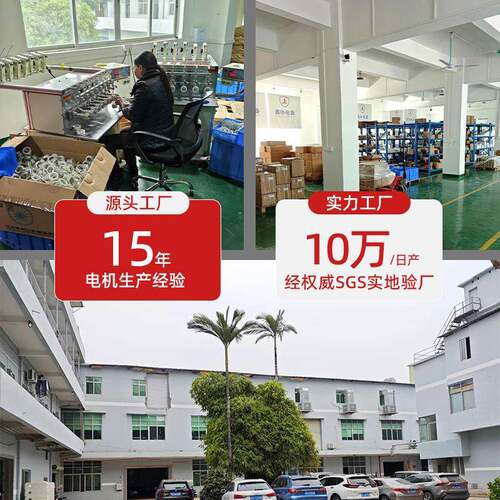 电机风厂家49KTYZ同交流电机220V不定向4WYXQ低速电扇摇头马小步