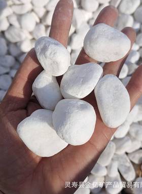 石子白色石子鹅卵石水洗石碎石院庭景铺HYY地白园林造装饰小白石