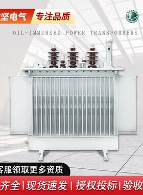 三相铜10kv高压工厂变压器S13-M-80-200-315KVA油浸式电力变压器