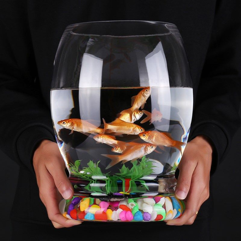 圆形玻璃金鱼缸客厅小型办公桌面客厅创意帶底鱼缸水族箱家用水培,宠物/宠物食品及用品,桌面缸,淘宝优惠券,粉丝福利购,淘宝优惠卷