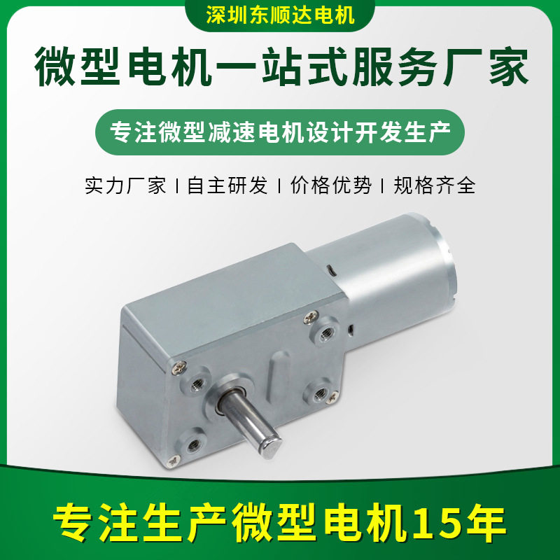 微型直流减速电机蜗轮蜗杆有刷带减速箱小电机马达大力矩微型电机