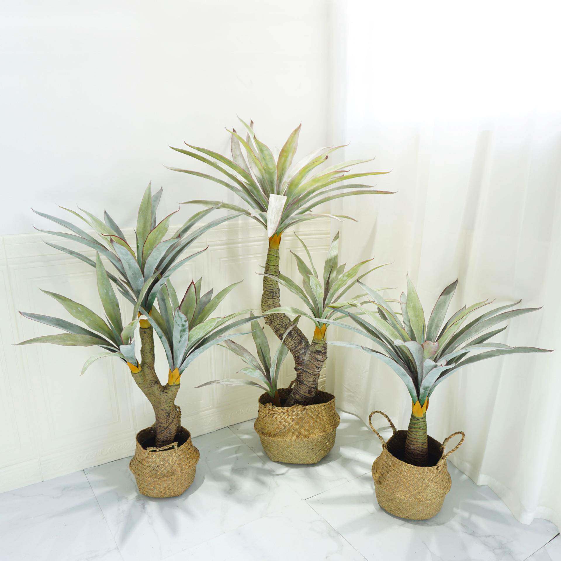 仿植物露兜兰剑兰210122剑麻造室摆件橱窗造景绿植软真装工程植物