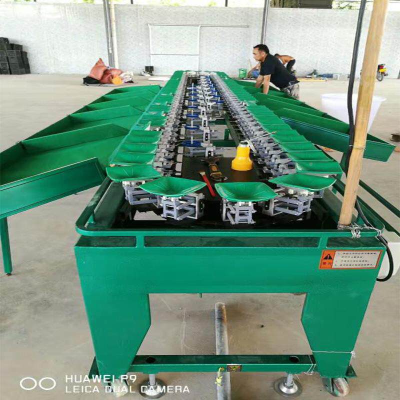北极甜HEW虾重量分机全拣自动智能不锈钢多现级选分设备货