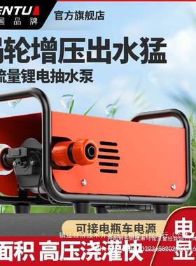 德国森途充电式抽水泵浇大农用菜果PZW灌溉水机园浇菜功率抽水机