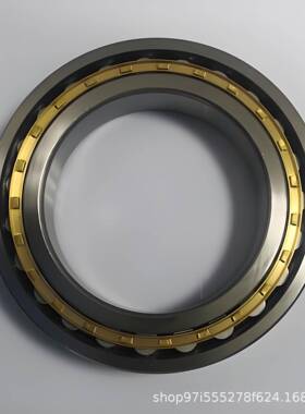 双列满装圆柱滚子轴承SL0400PPNNF58080ADJKMA-2LSV5N5084NNUWN33