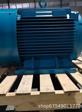 温0迈动力纯磁阻同步电机三相20v56853/238v铜电机工厂直全销