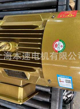 Y步E3三相异步达YEL3-1601-211KW千瓦2极调速三相异马达电DFK马机