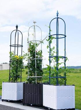 新款大玫花瑰爬藤架AL-65151户外拼接式架爬藤花支园爬藤植物架