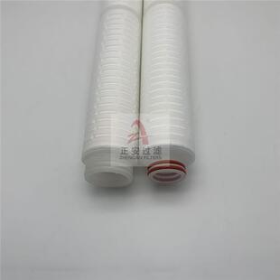 4N6-M0.5-2叠0-F-E-DESS尼龙6微孔折滤芯