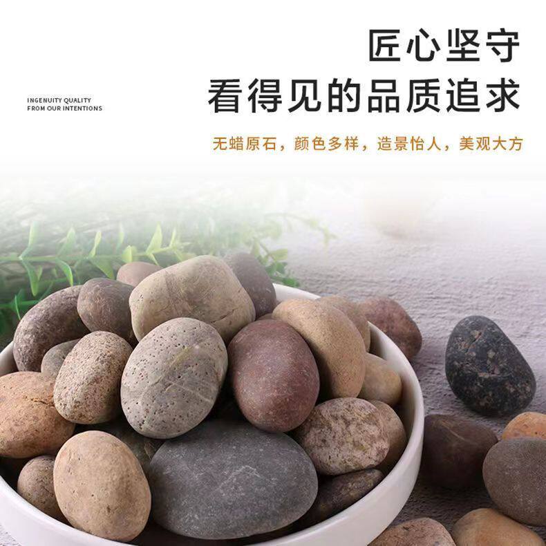 鹅卵石原石家用庭院铺路贴墙水景石造景园艺鱼缸河卵石河滩石清仓