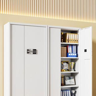 档案柜柜铁皮资凭证储物柜子带锁办公室电保密密码HJN文件柜料财