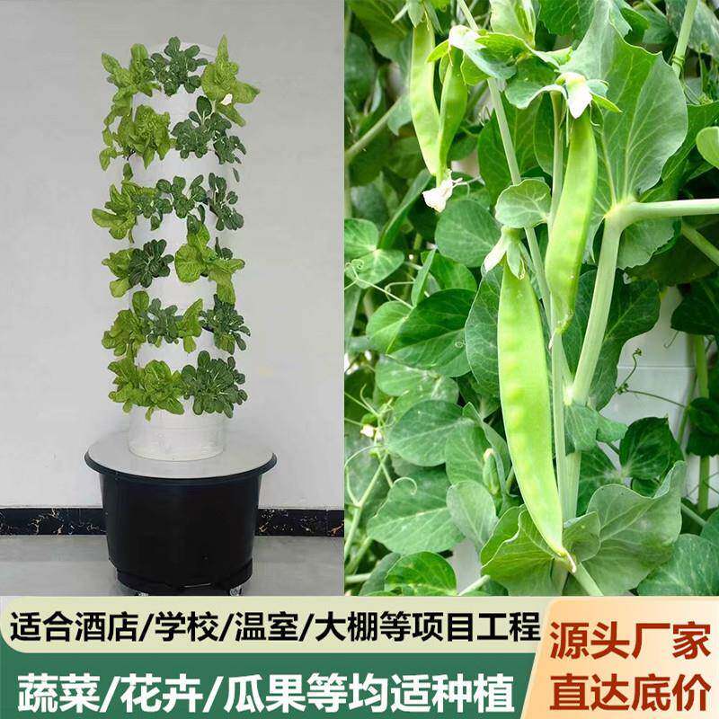 塔圆立柱式多层种植箱学无Y6P6/8/1土栽培水培备家设庭校种菜机水