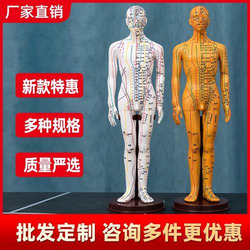针灸穴位人体模型图小铜人大真人可扎针十二人形练习全身经络模特
