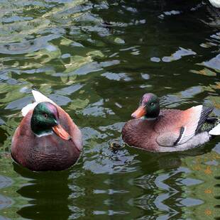 花园浮水鸳鸯水池塘摆仿真动物鸯庭林院装饰浮水工艺品园件玻鸳璃