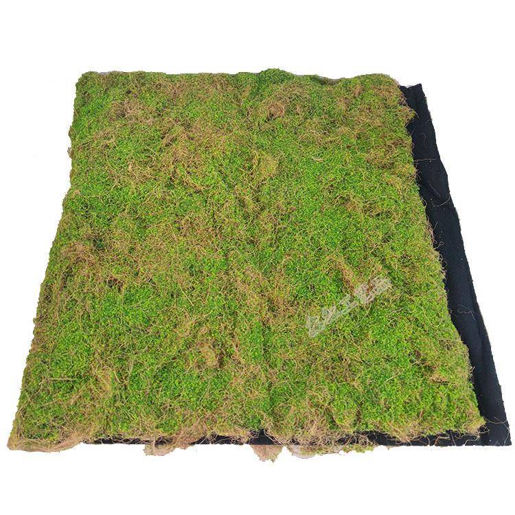 仿真干枯草枯丝苔藓草皮人造青苔草坪绿植墙打底装饰橱窗相框摆放