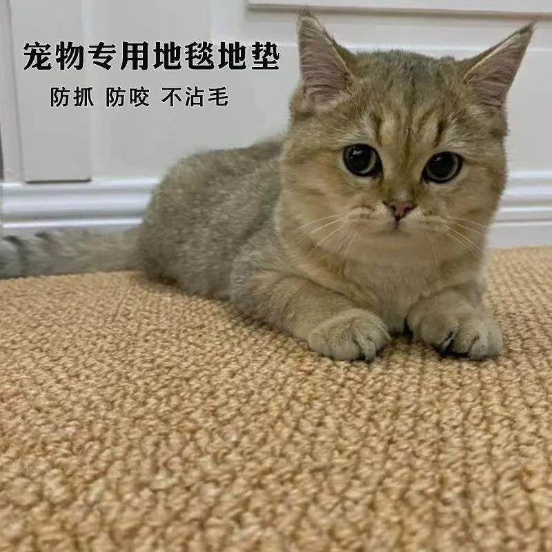 日式家居剑麻地毯客厅卧室床边阳台飘窗拍照文艺猫爪耐用简约