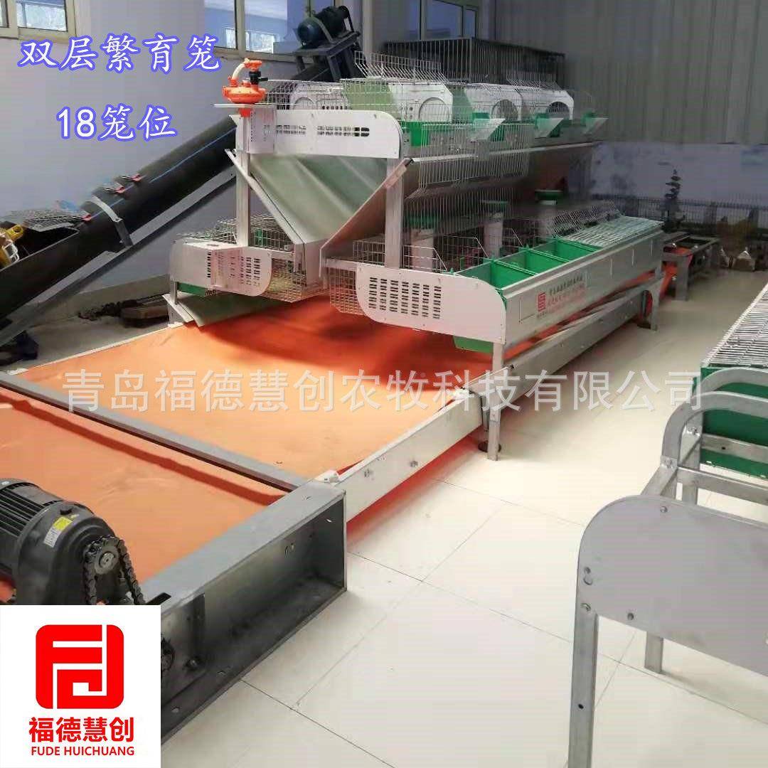 层双层兔笼YIP肉兔种兔繁育一双体母欧式笼具