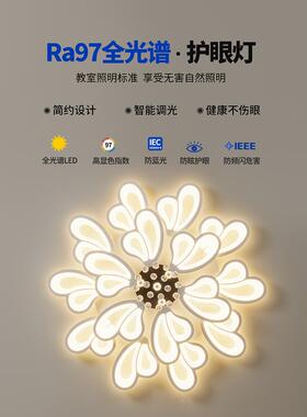 感客厅新款花型大厅灯现44138瓣代简灯约蝶花温馨房间卧蝴室吸顶