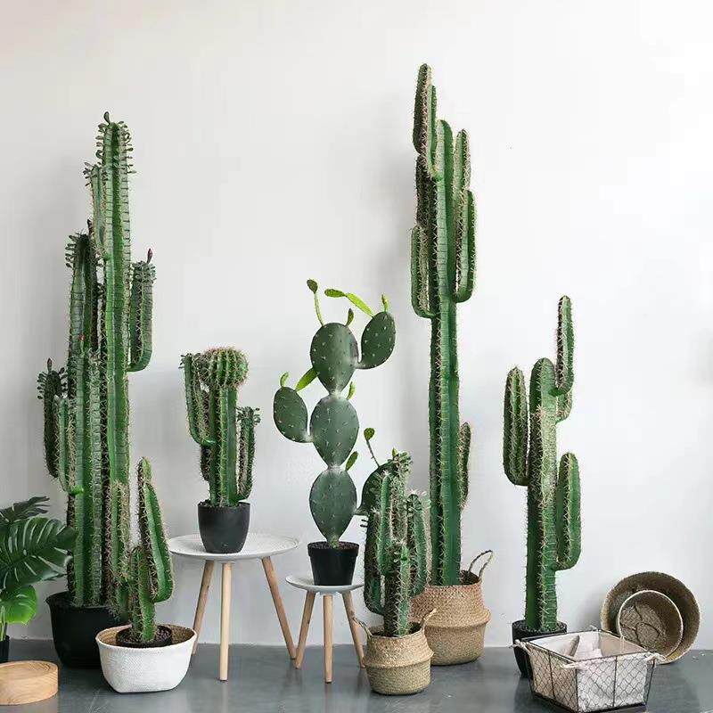 仿真仙物人掌EXU盆栽大型植造直销真绿植小仿景摆件组合仿真植物