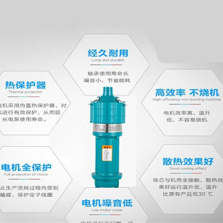 Q相D式三家用多立级深潜水泵2EKW20V小型高扬井程小老鼠清水抽水