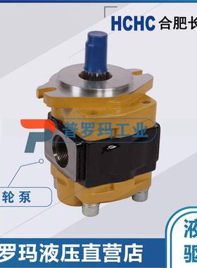 HCHC合肥长源齿轮油泵CBN-F52-BFP、52/5630BFPL、5550FHNKC、BBF