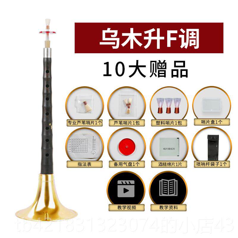 高档艺演奏专业乌木唢乐呐器全套d调D初学者入门小号喇叭哨新片配