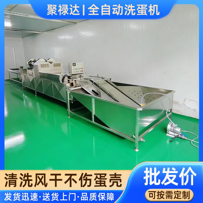 商用大全自动双排洗蛋机蛋鸭蛋型PZY鸡洗风干设备无菌蛋清洗清流