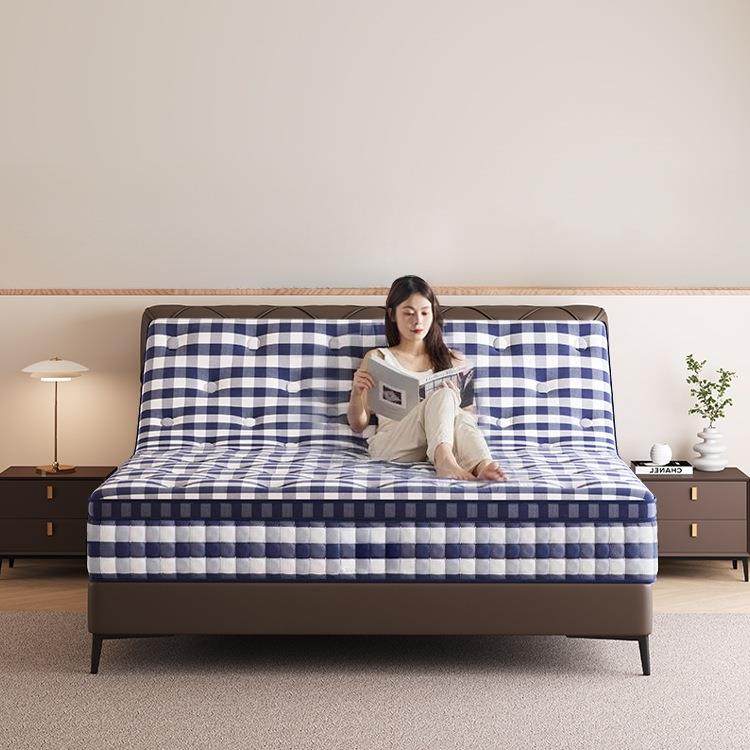 蓝格子智能床零垫多444功能重力电升降震动动按摩防打鼾起绢花助