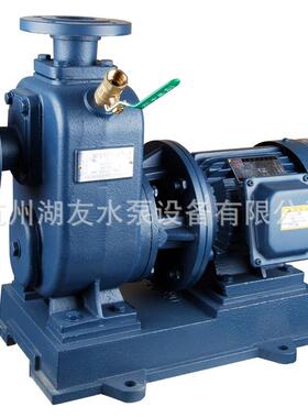 直联式自吸泵65BZ-205BZ30-65BZ-B4080Z-3080BZ-64080B80BZ-30Z-5