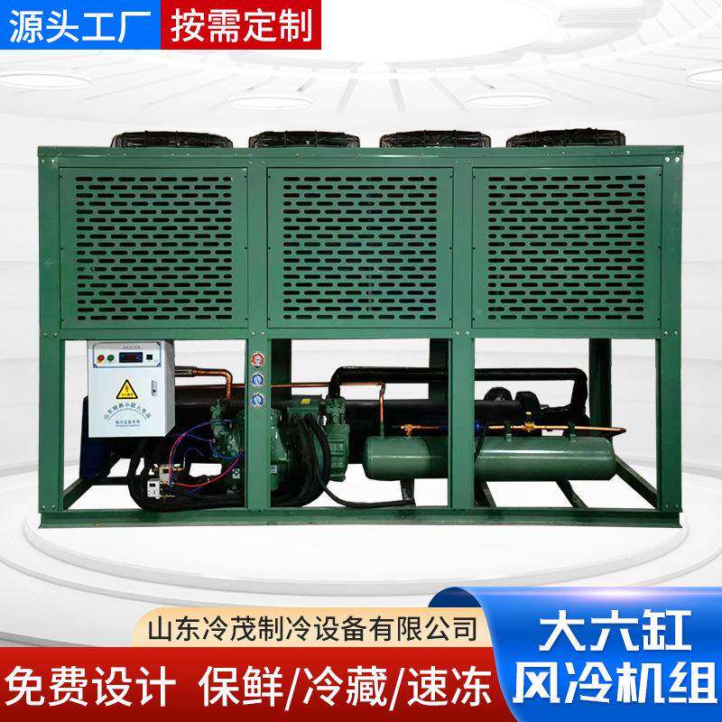 大六缸比泽保冷鲜冻半封5闭活665塞制冷设备低温2p30p40p尔风冷机