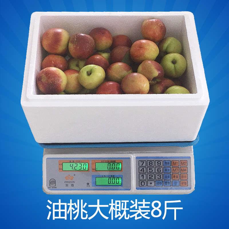 李子泡沫水箱大4鲜号8斤1果0斤果XNL生快递箱枇杷小蕃茄杏子桃子