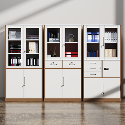 文件柜铁皮柜储物柜抽屉柜办公柜资料柜玻璃柜档案柜凭证柜柜子