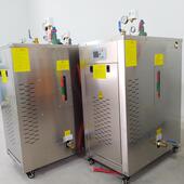 TDF服动装 熨烫蒸汽生器涵养护全洞自电发加热蒸汽机