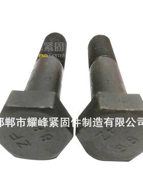 河北耀峰热卖高强134度螺栓8.810.91六29级高强度.直销角螺丝