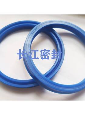 德国油1封NI300160-18538419-6A70-85-10CFW1N39118928-3-8