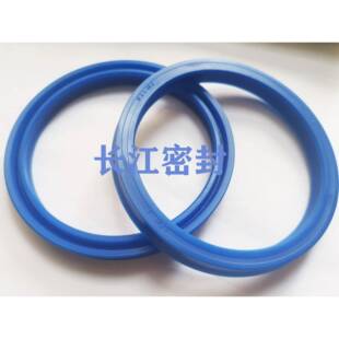 德国油1封NI300160-18538419-6A70-85-10CFW1N39118928-3-8