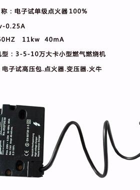 小052F0030型燃烧机点火器燃烧器件EBI系火变压器电列子点式单极D